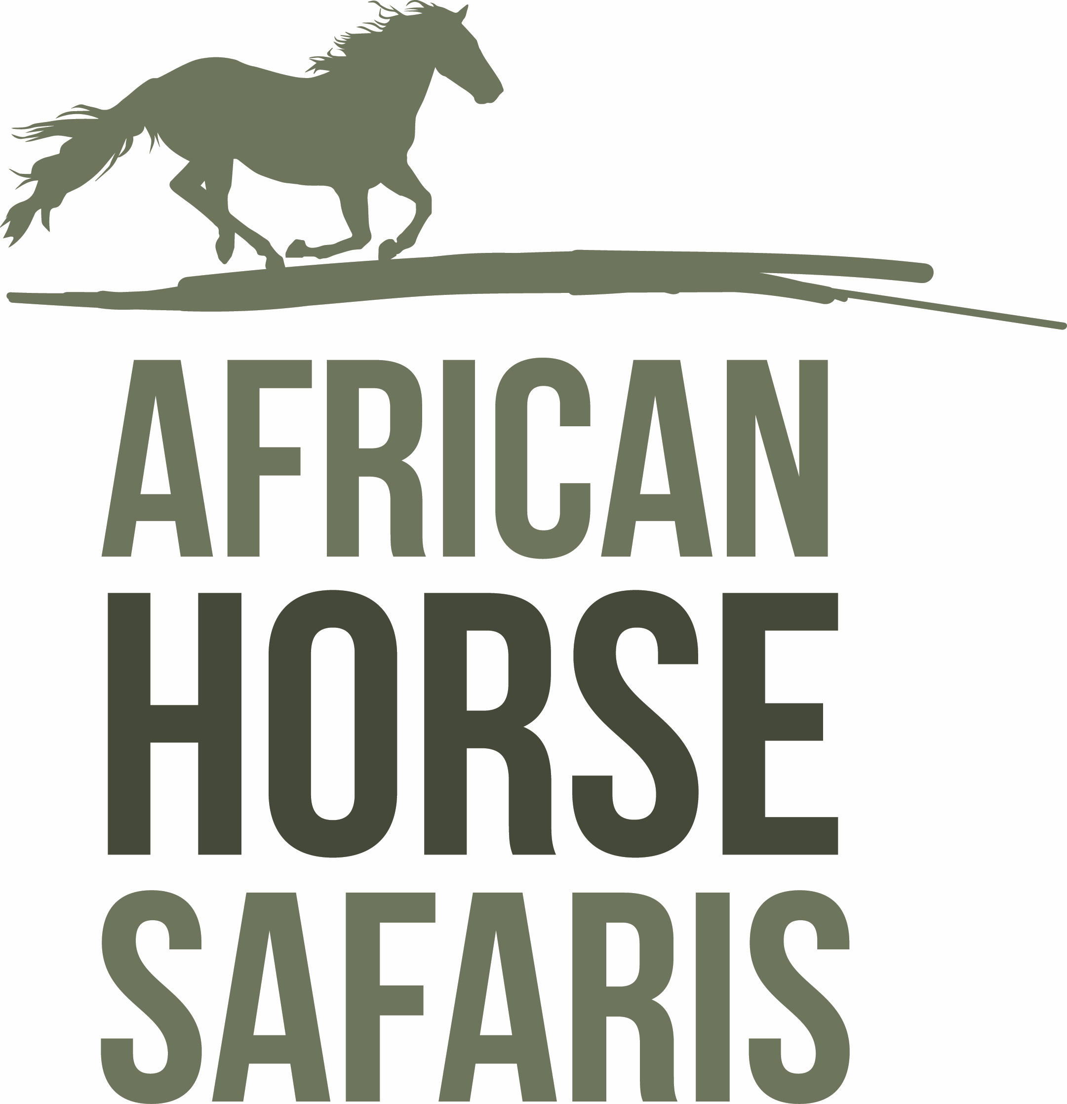 Logo for African Horse Safaris